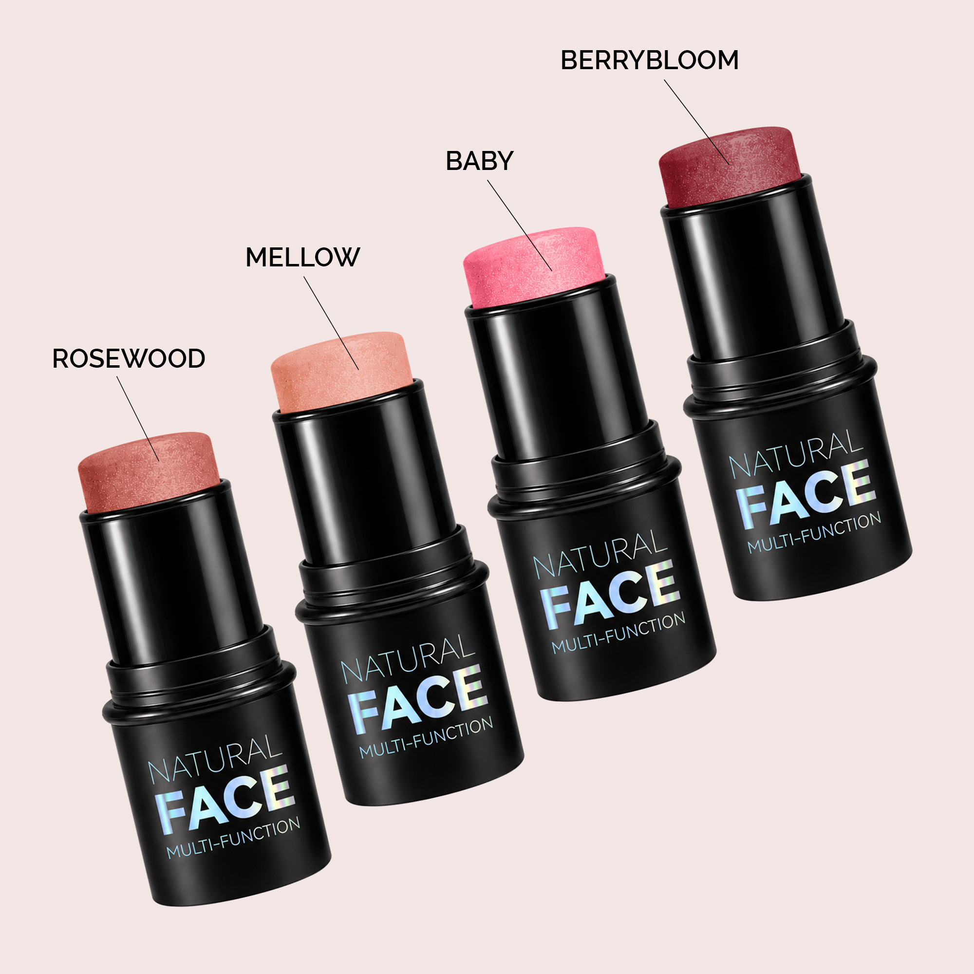 Stick & Blend Blush